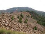 Grupo Mineralógico de Alicante.  Los Pajaritos. La Unión. Murcia  