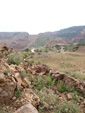 Grupo Mineralógico de Alicante.  Los Pajaritos. La Unión. Murcia  