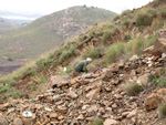 Grupo Mineralógico de Alicante. Los Pajaritos. La Unión. Murcia 