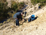 Grupo Mineralógico de Alicante. Paraje de El Salt.Jijona. Alicante 