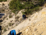 Grupo Mineralógico de Alicante. Paraje de El Salt.Jijona. Alicante 