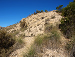 Grupo Mineralógico de Alicante. Paraje de El Salt.Jijona. Alicante 