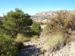 Grupo Mineralógico de Alicante. Paraje de El Salt.Jijona. Alicante 