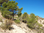 Grupo Mineralógico de Alicante. Paraje de El Salt.Jijona. Alicante 