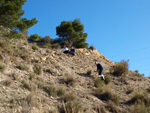 Grupo Mineralógico de Alicante. Paraje de El Salt.Jijona. Alicante 