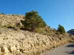 Grupo Mineralógico de Alicante.  Paraje de El Salt.Jijona. Alicante  