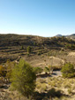 Grupo Mineralógico de Alicante.  Paraje de El Salt.Jijona. Alicante  