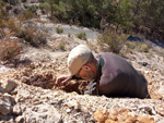 Grupo Mineralógico de Alicante.  Paraje de El Salt.Jijona. Alicante  