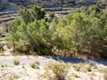 Grupo Mineralógico de Alicante. Paraje de El Salt.Jijona. Alicante  