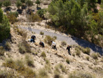 Grupo Mineralógico de Alicante.   Afloramiento de Aragonito. Casas de Ves. Albacete  