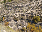 Grupo Mineralógico de Alicante.    Afloramiento de Aragonito. Casas de Ves. Albacete  