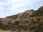 Grupo Mineralógico de Alicante. Cantera de Áridos Holcin. Busot. Alicante 