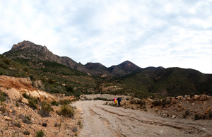 Grupo Mineralógico de Alicante.Cantera de Áridos Holcin. Busot. Alicante