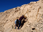 Grupo Mineralógico de Alicante.Cantera de Áridos Holcin. Busot. Alicante 