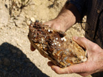 Grupo Mineralógico de Alicante. Cantera de Áridos Holcin. Busot. Alicante 