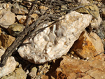 Grupo Mineralógico de Alicante.Cantera de Áridos Holcin. Busot. Alicante