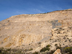 Grupo Mineralógico de Alicante.Cantera de Áridos Holcin. Busot. Alicante