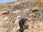 Grupo Mineralógico de Alicante.Cantera de Áridos Holcin. Busot. Alicante