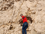 Grupo Mineralógico de Alicante.Cantera de Áridos Holcin. Busot. Alicante