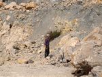 Grupo Mineralógico de Alicante. Cantera de Áridos Holcin. Busot. Alicante 