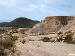 Grupo Mineralógico de Alicante. Cantera de Áridos Holcin. Busot. Alicante 