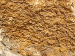 Grupo Mineralógico de Alicante.Cantera de Áridos Holcin. Busot. Alicante 