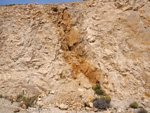 Grupo Mineralógico de Alicante.Cantera de Áridos Holcin. Busot. Alicante