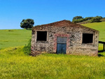 Grupo Mineralógico de Alicante. Mina la Nazarena. Almuradiel. Ciudad Real