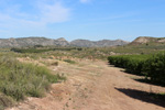 Grupo Mineralógico de Alicante. Mina La Teodora. Villena. Alicante