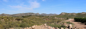 Grupo Mineralógico de Alicante. Mina La Teodora. Villena. Alicante