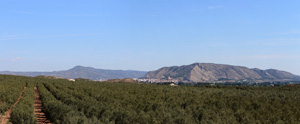 Grupo Mineralógico de Alicante. Mina La Teodora. Villena. Alicante