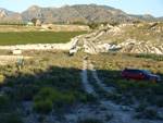 Grupo Mineralógico de Alicante. Afloramiento de Celestina. Barranco del Mulo. Ulea. Murcia