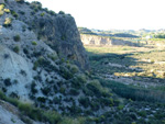 Grupo Mineralógico de Alicante. Afloramiento de Celestina. Barranco del Mulo. Ulea. Murcia