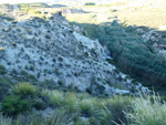 Grupo Mineralógico de Alicante. Afloramiento de Celestina. Barranco del Mulo. Ulea. Murcia