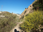 Grupo Mineralógico de Alicante.  Afloramiento de Celestina. Barranco del Mulo. Ulea. Murcia 