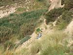 Grupo Mineralógico de Alicante.  Afloramiento de Celestina. Barranco del Mulo. Ulea. Murcia 