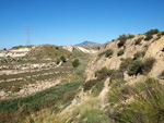 Grupo Mineralógico de Alicante.  Afloramiento de Celestina. Barranco del Mulo. Ulea. Murcia 