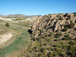 Grupo Mineralógico de Alicante. Afloramiento de Celestina. Barranco del Mulo. Ulea. Murcia 