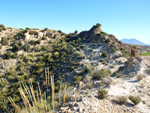 Grupo Mineralógico de Alicante. Afloramiento de Celestina. Barranco del Mulo. Ulea. Murcia 