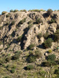 Grupo Mineralógico de Alicante. Afloramiento de Celestina. Barranco del Mulo. Ulea. Murcia