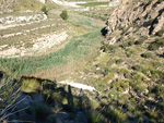 Grupo Mineralógico de Alicante. Afloramiento de Celestina. Barranco del Mulo. Ulea. Murcia