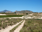 Grupo Mineralógico de Alicante. Afloramiento de Celestina. Barranco del Mulo. Ulea. Murcia