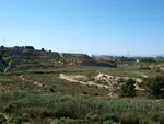 Grupo Mineralógico de Alicante. Afloramiento de Celestina. Barranco del Mulo. Ulea. Murcia