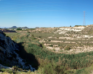 Grupo Mineralógico de Alicante. Afloramiento de Celestina. Barranco del Mulo. Ulea. Murcia