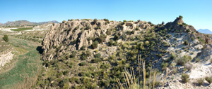 Grupo Mineralógico de Alicante. Afloramiento de Celestina. Barranco del Mulo. Ulea. Murcia