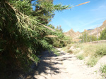 Grupo Mineralógico de Alicante.Paraje los Terreros. Valle de Ricote.Ojós. Murcia.