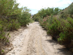 Grupo Mineralógico de Alicante.Paraje los Terreros. Valle de Ricote.Ojós. Murcia.