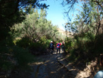 Grupo Mineralógico de Alicante.Paraje los Terreros. Valle de Ricote.Ojós. Murcia.