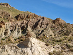 Grupo Mineralógico de Alicante.Paraje los Terreros. Valle de Ricote.Ojós. Murcia.