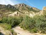 Grupo Mineralógico de Alicante. Paraje los Terreros. Valle de Ricote.Ojós. Murcia. 